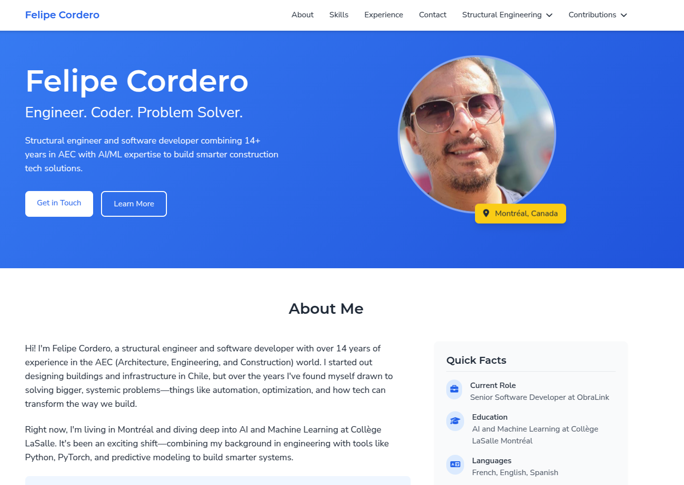 CareerCanvas Theme Preview